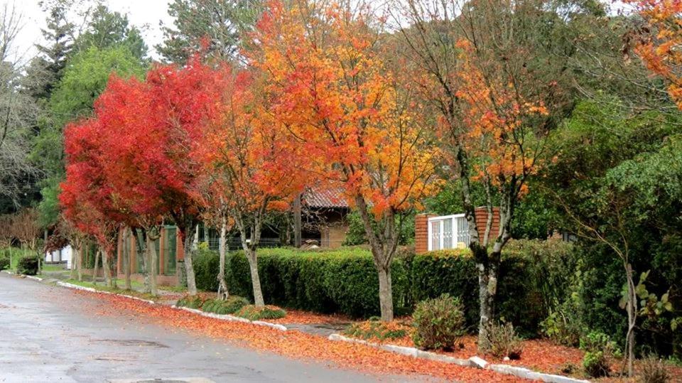Apartamento Familia Sirangelo Gramado Kültér fotó
