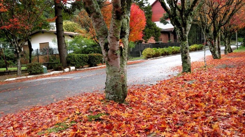 Apartamento Familia Sirangelo Gramado Kültér fotó