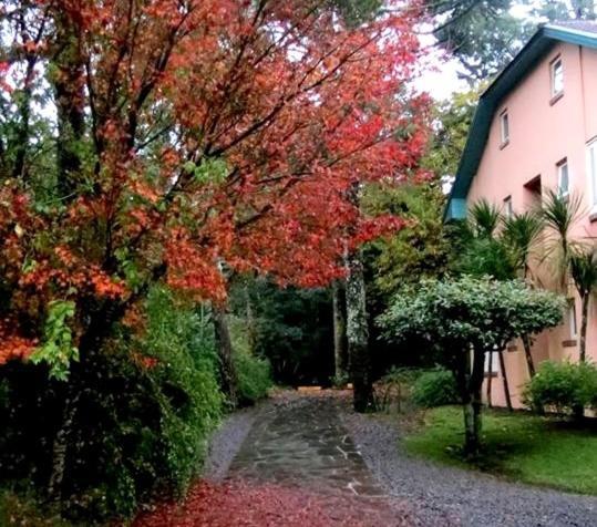 Apartamento Familia Sirangelo Gramado Kültér fotó